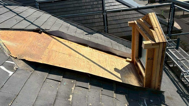 鳩小屋撤去もご相談ください